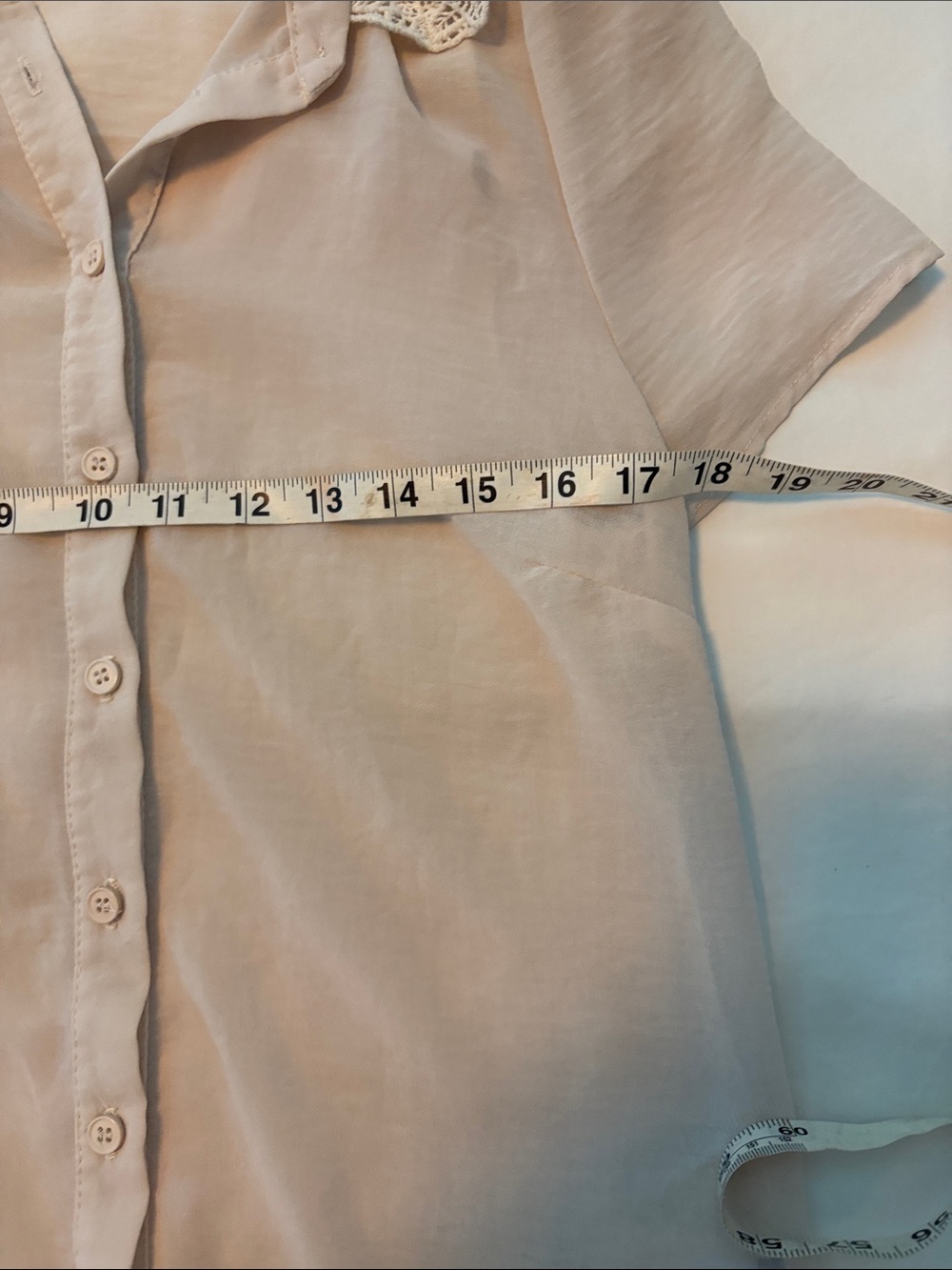 Lace Collar Short Sleeve Blouse — Cream - Picture 7 of 8